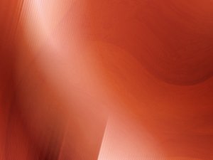 碳中和项目管理的核心要点